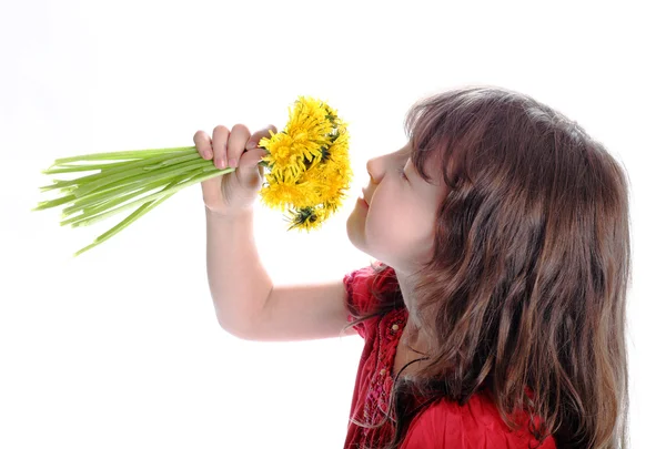 The girl smells a dandelion — Stock Photo, Image