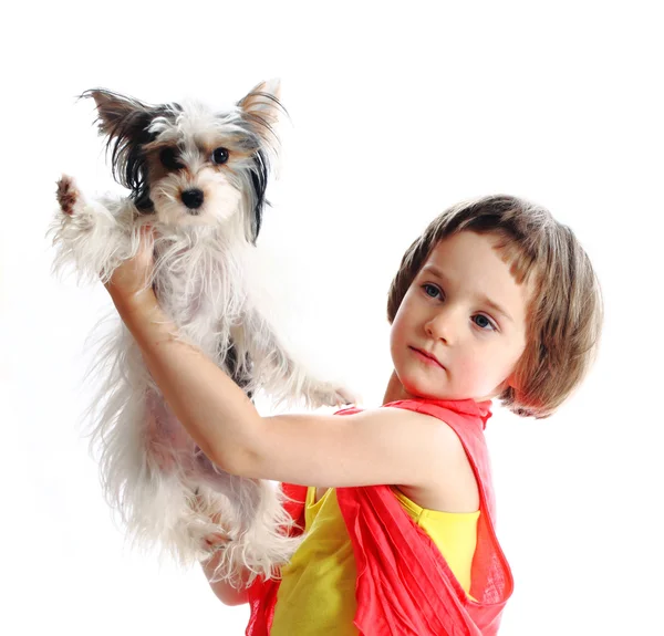 Flickan i studio med en hund — Stockfoto
