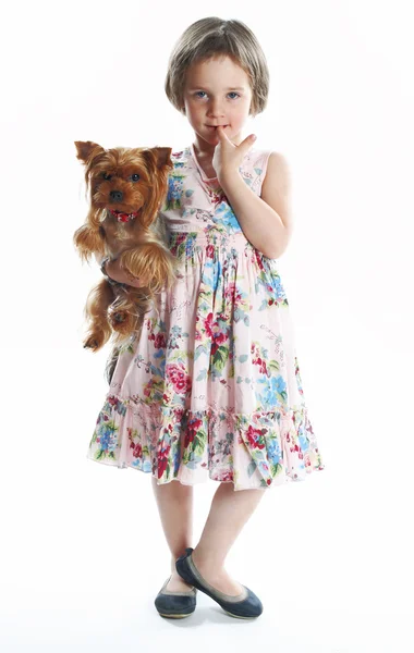Het meisje met een klein hondje op de witte — Stockfoto