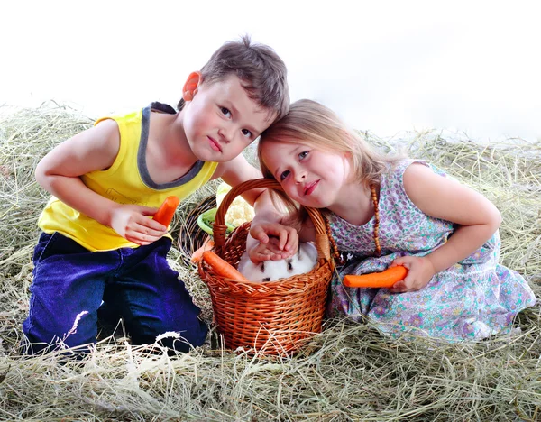 干し草の少年と少女鉄好きなウサギ — ストック写真