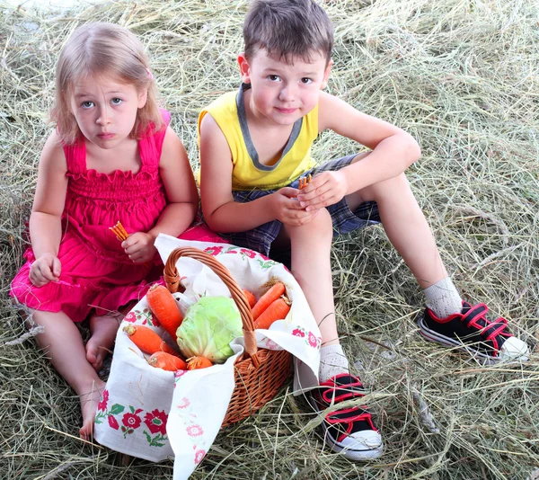 Amis dans le village sur une botte de foin avec un panier de légumes — Photo