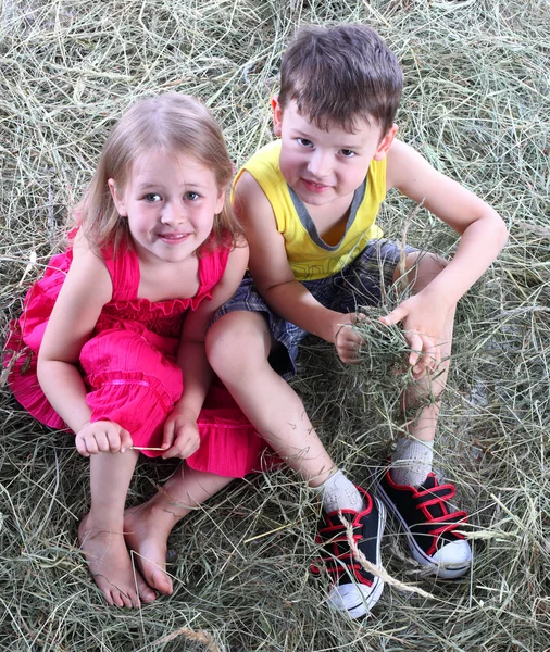 少女と少年、haystack の中で、残りがあります。 — ストック写真