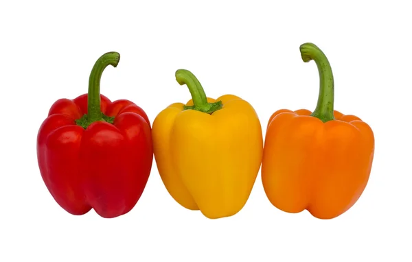 stock image Three colored peppers isolated