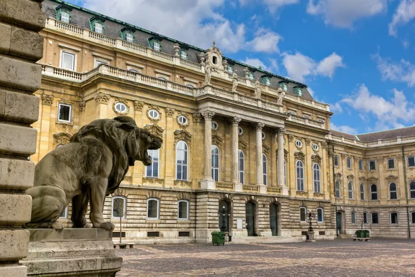 Buda burg (königlicher palast) innenhof, budapest, ungarisch — Stockfoto