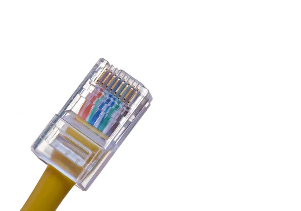 RJ-45 jack fitted on cat5e utp cable — Stock Photo, Image