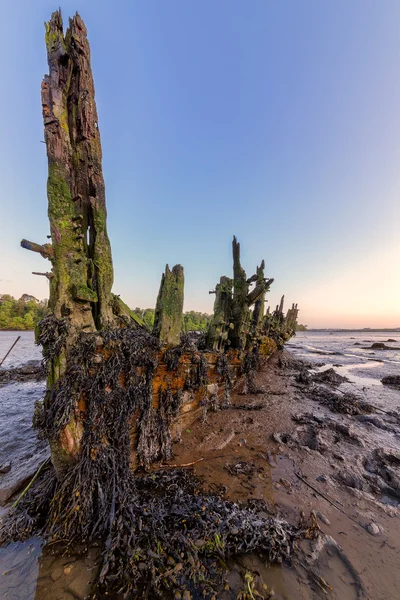 Plymouth Shipwreck — Stock Photo, Image