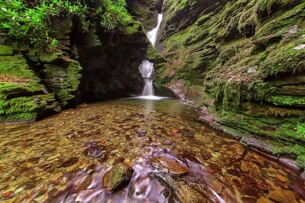 stock image St Nectan's Glen, Tintagel, Cornwall.