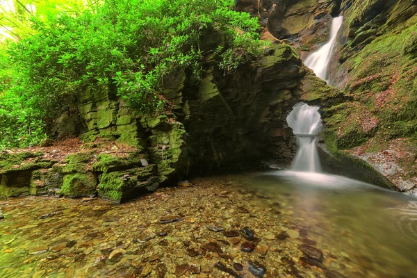 stock image St Nectans Glen, Tintagel, Cornwall