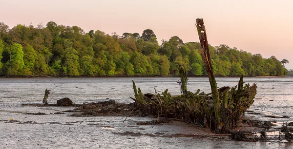 stock image Shipwreck on tidal river, Devon, UK