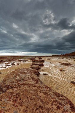 Jurassic kıyı şeridi, lyme regis, dorset