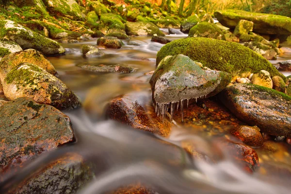 Dartmoor floden — Stockfoto
