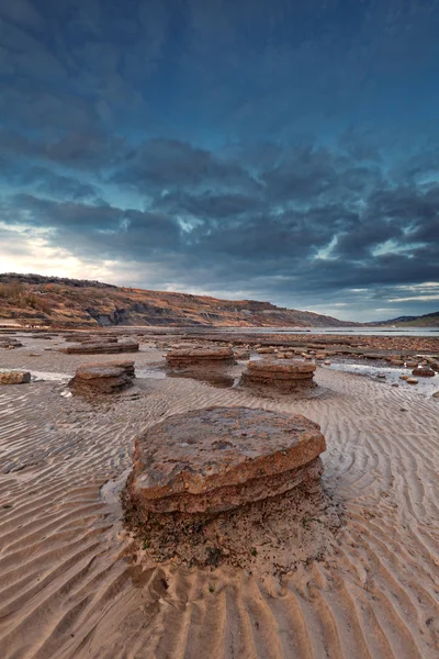 侏罗纪海岸线、 莱姆里吉斯、 无角陶赛特 — 图库照片