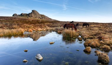 Haytor, dartmoor Milli Parkı