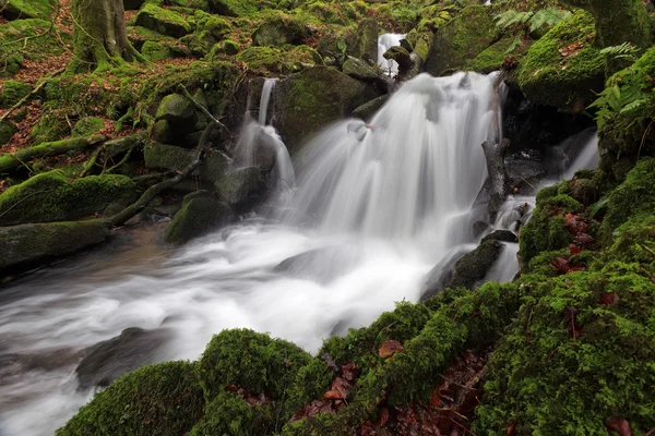 Secretos de Dartmoors —  Fotos de Stock
