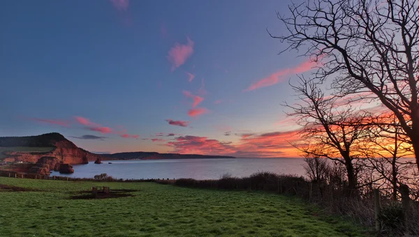 Ladram Bay, Etelä-Devon, Englanti tekijänoikeusvapaita kuvapankkikuvia
