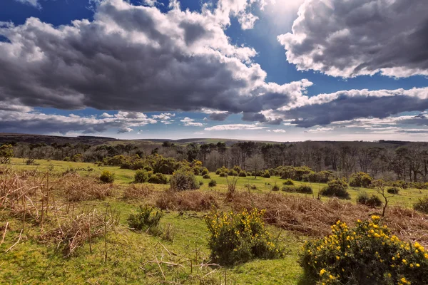 Dartmoor Views — Stock Photo, Image