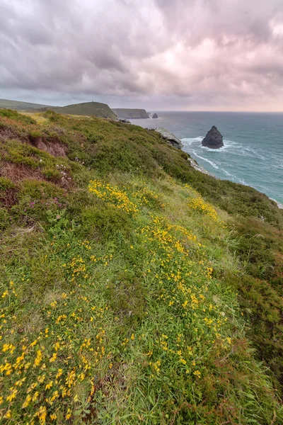 Cliffs of Boscastle, Cornwall, Reino Unido — Fotografia de Stock