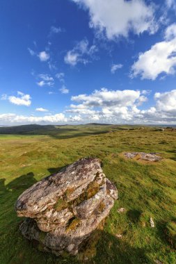 Dartmoor National Park, Devon, UK