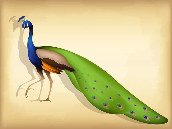 Illustrazione di un bel pavone in stile semplificato — Vettoriale Stock
