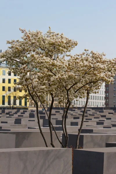 ベルリン, 記念碑 — ストック写真