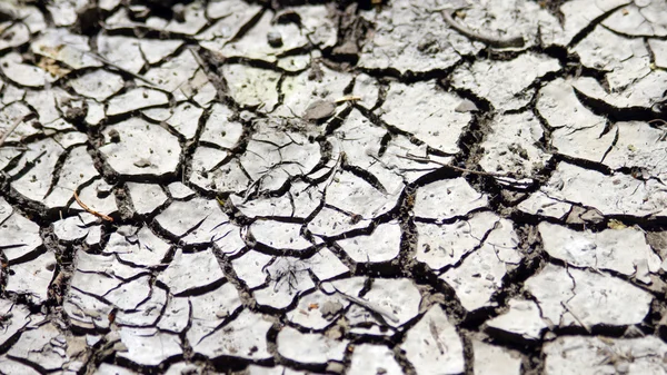 Earth , cracks , structure , background — Stock Photo, Image
