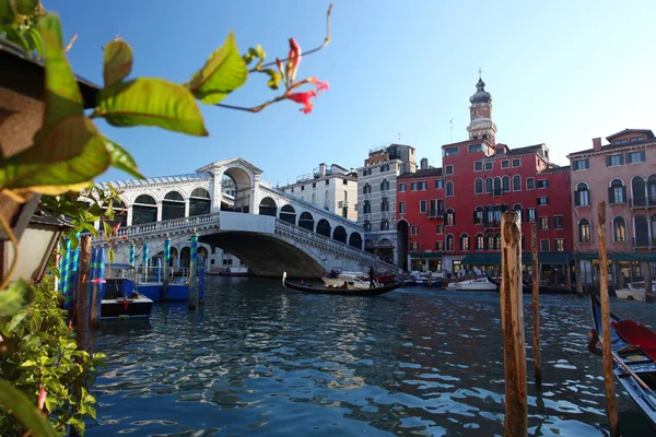 Wenecja, most ponte rialto z gondolą — Zdjęcie stockowe