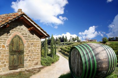 Vineyard chianti, Toskana, İtalya, ünlü peyzaj