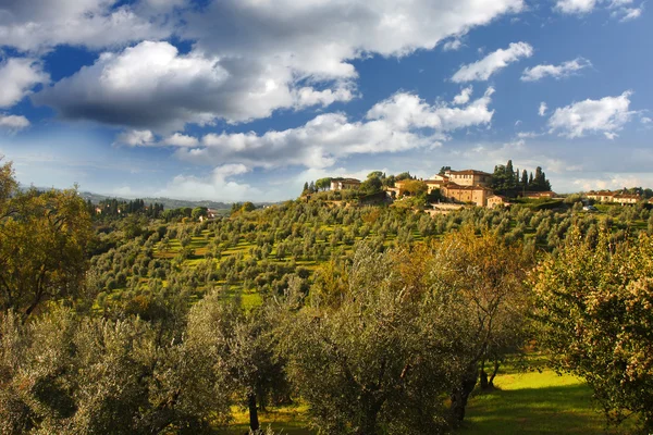 Weinberg in Chianti, Toskana, Italien, berühmte Landschaft — Stockfoto