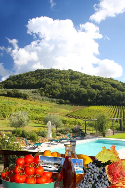 Виноградник в Кьянти, Тоскана, Италия, знаменитый пейзаж — стоковое фото