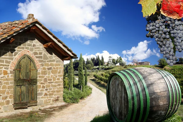 キアンティ、トスカーナ、イタリア、有名な風景のブドウ園 — ストック写真