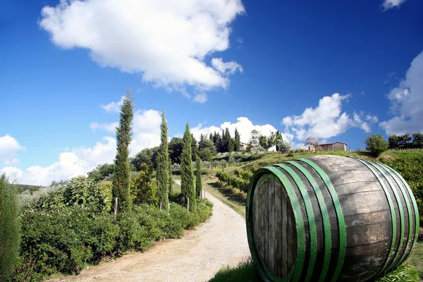 Vigneto in Chianti, Toscana, Italia, paesaggio famoso — Foto Stock