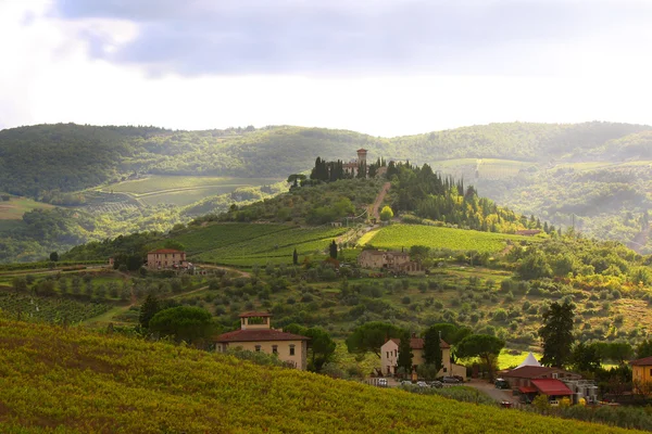 Viñedo en Chianti, Toscana, Italia, famoso paisaje — Foto de Stock