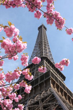 Eyfel Kulesi bahar zamanı, paris, Fransa