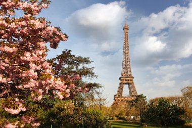 ünlü Eyfel Kulesi ile ağaç bahar, paris, Fransa