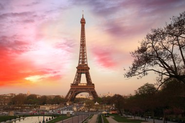 ünlü Eyfel Kulesi ile ağaç bahar, paris, Fransa