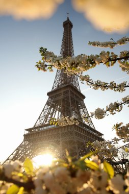 ünlü Eyfel Kulesi ile ağaç bahar, paris, Fransa