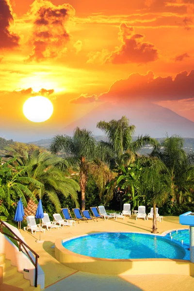 游泳池与反对日落的椰子树 — 图库照片