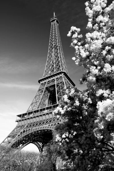 パリ、フランスの有名なエッフェル塔 — ストック写真