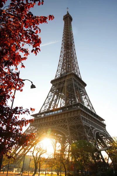 Parijs, de Eiffeltoren in het voorjaar van — Stockfoto