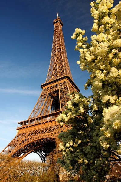 Paris, Torre Eiffel na primavera — Fotografia de Stock