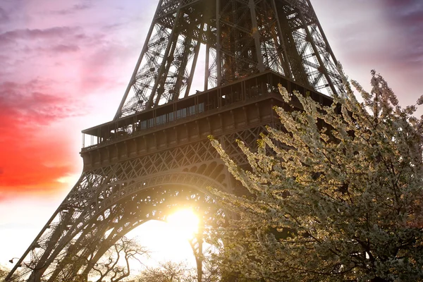 Párizs, Eiffel-torony, tavasszal — Stock Fotó