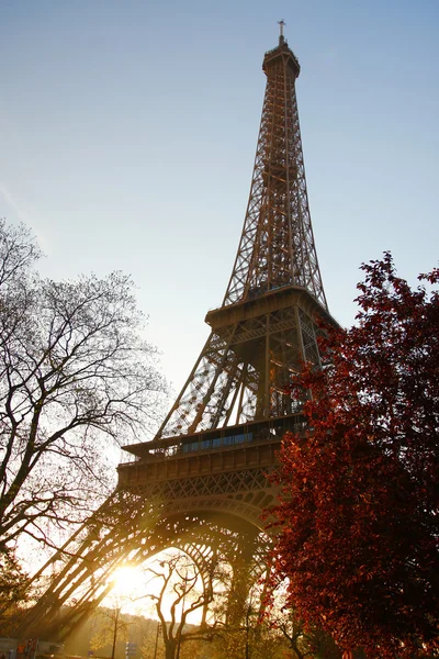 Paris, Eyfel Kulesi bahar — Stok fotoğraf