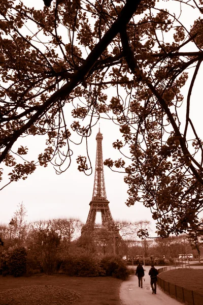 Torre Eiffel en primavera, París, Francia — Foto de Stock