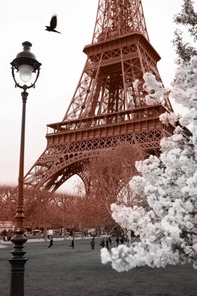 Eiffeltoren in de lentetijd, paris, Frankrijk — Stockfoto