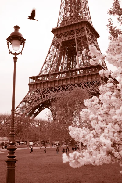 Eyfel Kulesi bahar zamanı, paris, Fransa — Stok fotoğraf