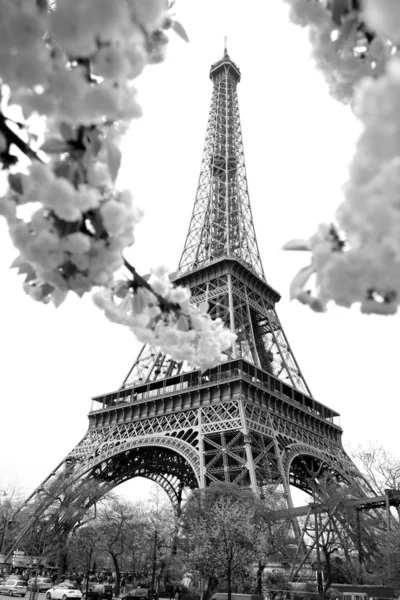 Eiffel Tower in spring time, Paris, France — Stock Photo, Image