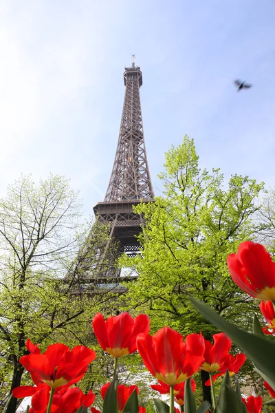 Eiffelova věž v jarním období, Paříž, Francie — Stock fotografie