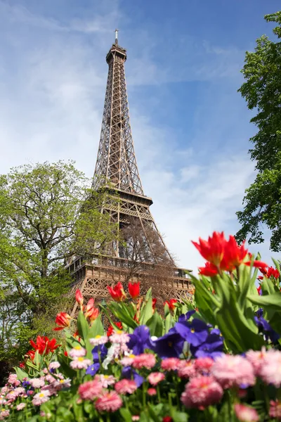 Эйфелева башня весной, Париж, Франция — стоковое фото