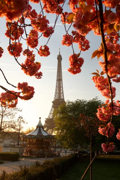 Wieży Eiffla z wiosną drzewa, Paryż, Francja — Zdjęcie stockowe