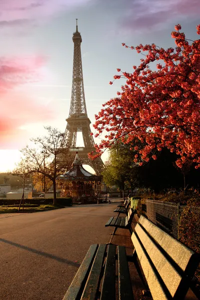 Знаменитая Эйфелева башня с весенним деревом, Париж, Франция — стоковое фото
